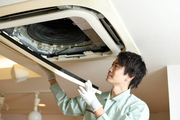 Best Affordable Duct Cleaning Services  in Wesley Chapel, FL