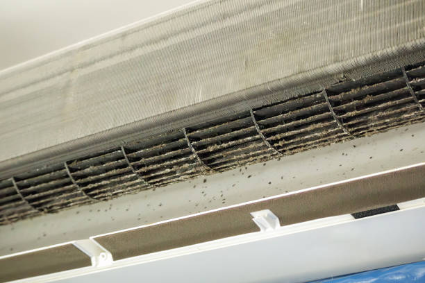 Best HVAC System Cleaning  in Wesley Chapel, FL
